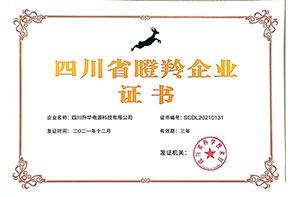 四川省瞪羚企業